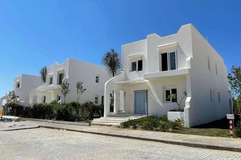 المهندس أحمد العدوي