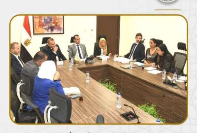 التنسيق المصري الألمانى