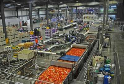 مصانع للفاكهة الطازجة