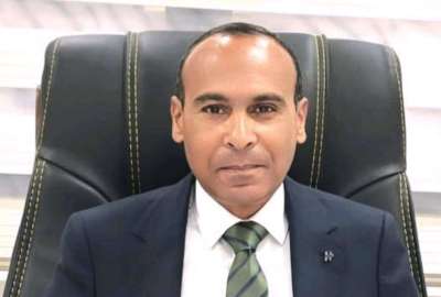 محمد عبد العزيز عامر 