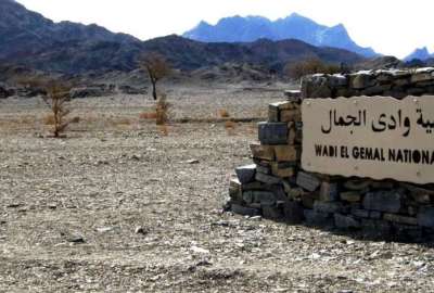 محمية وادي الجمال