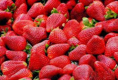 الفراولة الطازجة