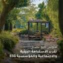 ماونتن ڤيو